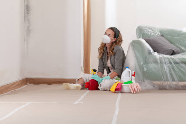 Reliable Basement Mold Remediation contractor in Cedar Grove, NC by Car Mold Remediation